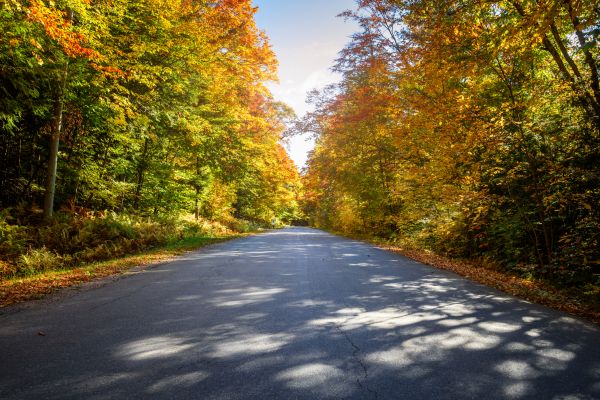 Cost of Blacktop Replacement in Salisbury